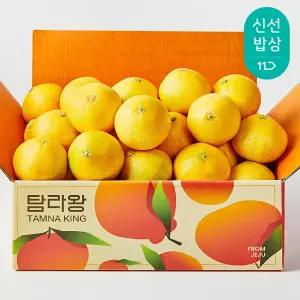 [탐라왕]제주 고당도 황금향 2.5kg 4.5kg 소과/중과/대과