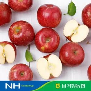 맛딜 [남거창농협] 거창 농협 꿀 사과 선별 사과 2.5kg 5kg