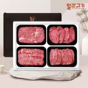 [일간고기][G][일간고기] 1등급 암소한우 선물세트 1.2kg (등채안특)