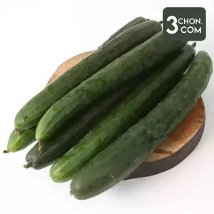 [삼촌밥먹자] 수분 가득 청 오이 2kg
