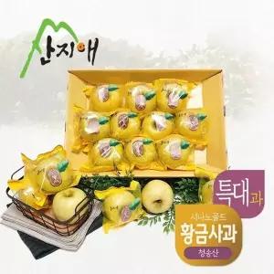 [산지애] 황금사과 시나노골드 3kg 1box / 특대과, 청송산 , 당도선별 12brix