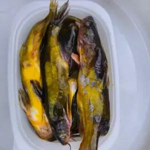 빠가사리 냉동 1kg (크기 섞여있습니다)