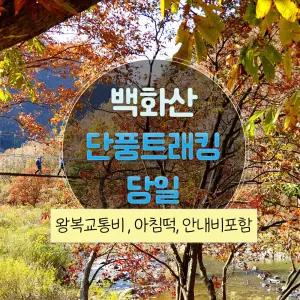 [충북] 단풍 백화산 구수천 반야사 가는길 당일