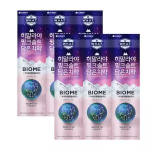 페리오 히말라야 핑크솔트 바이옴 치약 100g 6개 783882