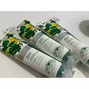 덴티스테 시트러스후레쉬 치약 200g 3개 + 20g 증정 불소 임냄세제거 충치케어
