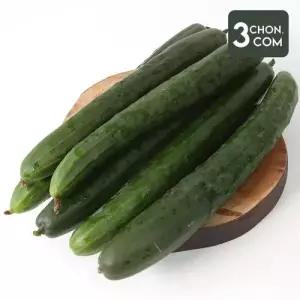 [삼촌밥먹자] 수분 가득 청 오이 2kg