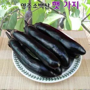 영주소백산 가지 10kg 예쁜 국내산 가지 10kg 산지직송