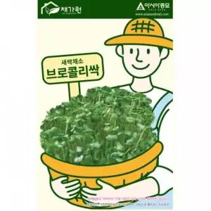 아시아종묘 씨앗 새싹 브로콜리싹 500g