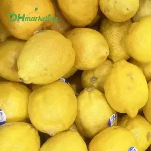 못난이 레몬 15kg 벌크