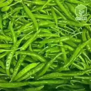국내산 땡초 청양고추 대량 도매 식자재 5kg