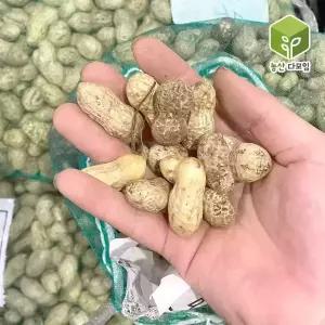 국내산 햇땅콩 흙땅콩 피땅콩 생땅콩 4kg