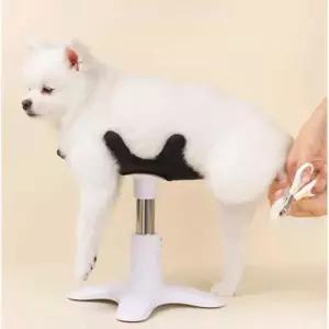 강아지 미용 거치대 미용거치대 리프트 애견샵 목욕