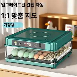 병아리 부화기 계란 메추리 조류 조절 자동 전원 키트