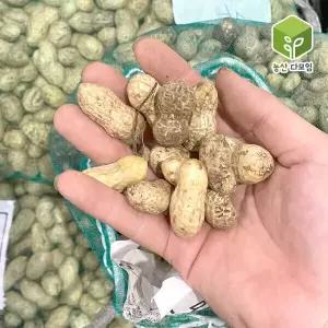 국내산 햇땅콩 흙땅콩 피땅콩 생땅콩 4kg