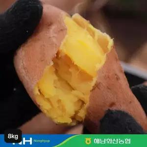 [NS홈쇼핑]해남 화산농협 햇 호박고구마 4kg+4kg[36191045]