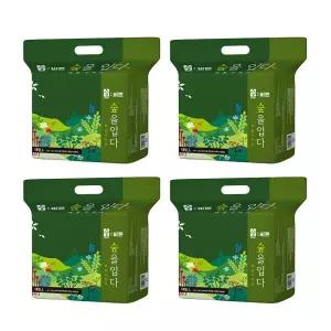 숲바른 기저귀 보송 순면 감촉 흡수 팬티 대형 26매 4팩 GST
