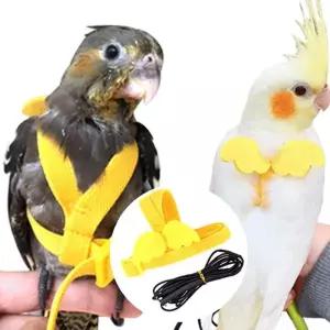 앵무새산책리드줄 앵무새리드줄 앵무새케어 앵무새목걸이 앵무새물통 앵무새하네스 앵무새훈련 앵무새산책