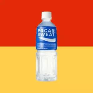 포카리스웨트 시원한 500ml 20개
