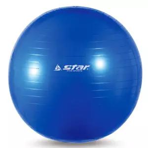 1P 스타 짐볼 운동 스트레칭 블루 55cm 마사지 홈트