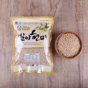 교보문고 한그루 장세순 발아현미 5kg (1kg x 5봉)