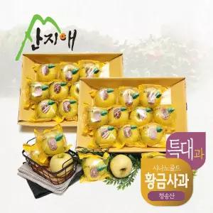 산지애 황금사과 시나노골드 3kg 2box / 특대과, 청송산 , 당도선별 12brix