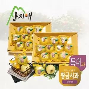 [산지애] 황금사과 시나노골드 3kg 2box / 특대과, 청송산 , 당도선별 12brix