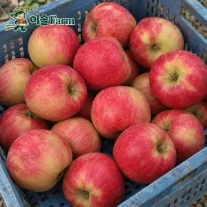 [이솔팜]경북 아리수 사과 가정용(특) 10kg 크기선택가능