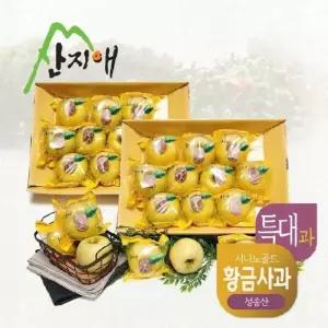 산지애 황금사과 시나노골드 3kg 2box / 특대과, 청송산 , 당도선별 12brix