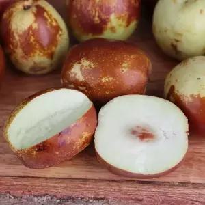 아삭달콤하고 영양 많은 제철 햇 사과대추 1kg(상)