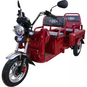 새일 전기 전동차 스쿠터 Sl 1002 삼륜 오토바이 (J)