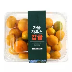 가을 하우스감귤 1.7kg/팩