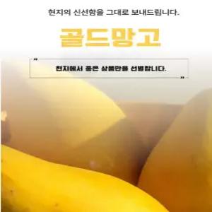 달콤 부드러운 베트남 프리미엄 골드망고 실속,선물