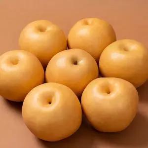 (농부들의수확)명절이후발송품질보장 26년 햇 나주배 가정용 특품 5kg 8-9과 8587388