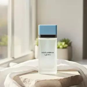 돌체앤가바나 라이트 블루 오 드 뚜왈렛 100ml
