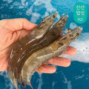 [품질보장] 이순신수산 국내산 흰다리새우 제철 생물 활새우 왕특대 1kg (24-27미)