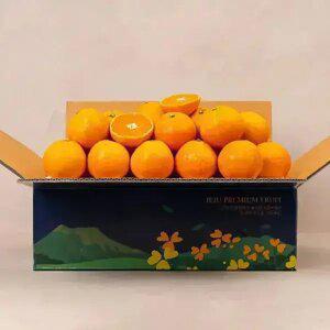 달콤한 제주 서귀포 고당도 노지 감귤 4.5kg S-M 로얄과