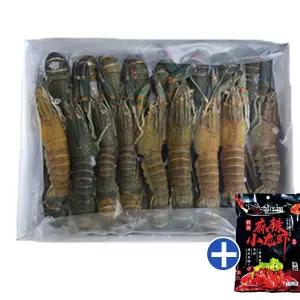 하니C 냉동민물가재 마라룽샤가재 마라롱샤세트 25미이상 마라소스포함 1kg 크래이피쉬 마라샹궈소스 빠른