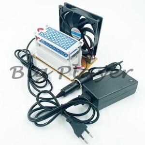 듀얼 전압 110V 220V 12V 휴대용 오존 발생기 - 10g 가정용 자동차 공기 청정기 장치 기