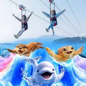 아쿠아플라넷 여수 + 라마다짚트랙 PKG (9/1~9/30)