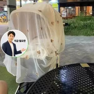 지금 필요한 간편한 모기장 촘촘한 유모차용 해충 방지 탈부착 유모차액세서리