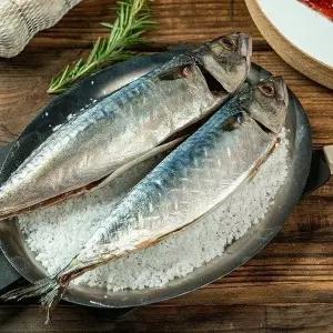[셀러허브]생물 급냉 통고등어 3미 2kg 내외 (S50800539)