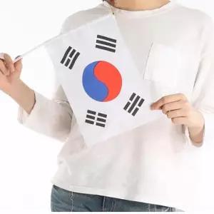 게양용태극기 축제체육대회 수기태극기 응원용품 10개 게양용깃발