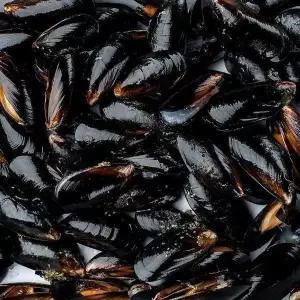 [셀러허브]국내산 제철 홍합 1kg 90미 내외 (S50800449)