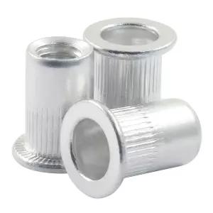 Marvexi 1/420 리벳 너트 알루미늄 100개 평평한 머리 몸체는 나사산이 있는 인서트 DIY 프로젝트/용