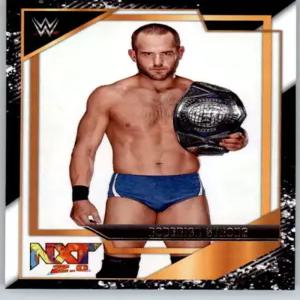 2022 파니니 WWE NXT 골드 5 로데릭 스트롱 2.0 공식 월드 레슬링 엔터테인먼트 트레이딩 카드 NM 이상