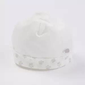 타티네 쇼콜라 로에신생모 TNMMHU08U-W 119961
