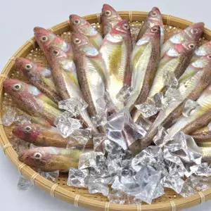 건담농수산 동해안 도루묵 1KG 조림 제철생선 철