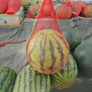 정원 오이 재배 저장 그물 야채 가방 재사용 가능한 멜론 100 개