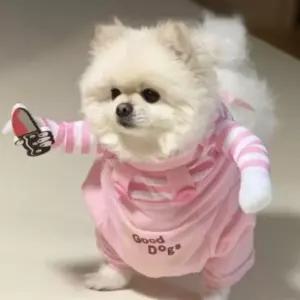 XS-4XL 소형견 강아지 올인원 처키 핑크 할로윈 파티 유니폼 애견 옷