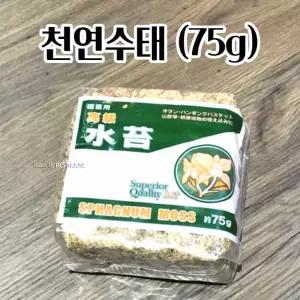 난 재배용 최고급 건조 압축 천연수태 75G 토피어리 깔끔하고편리 물 실내식물 수조